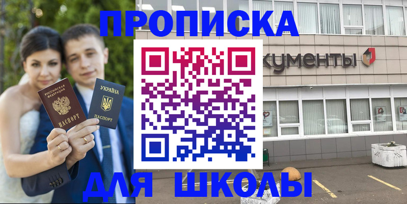 временная регистрация госуслуги в Приозерске